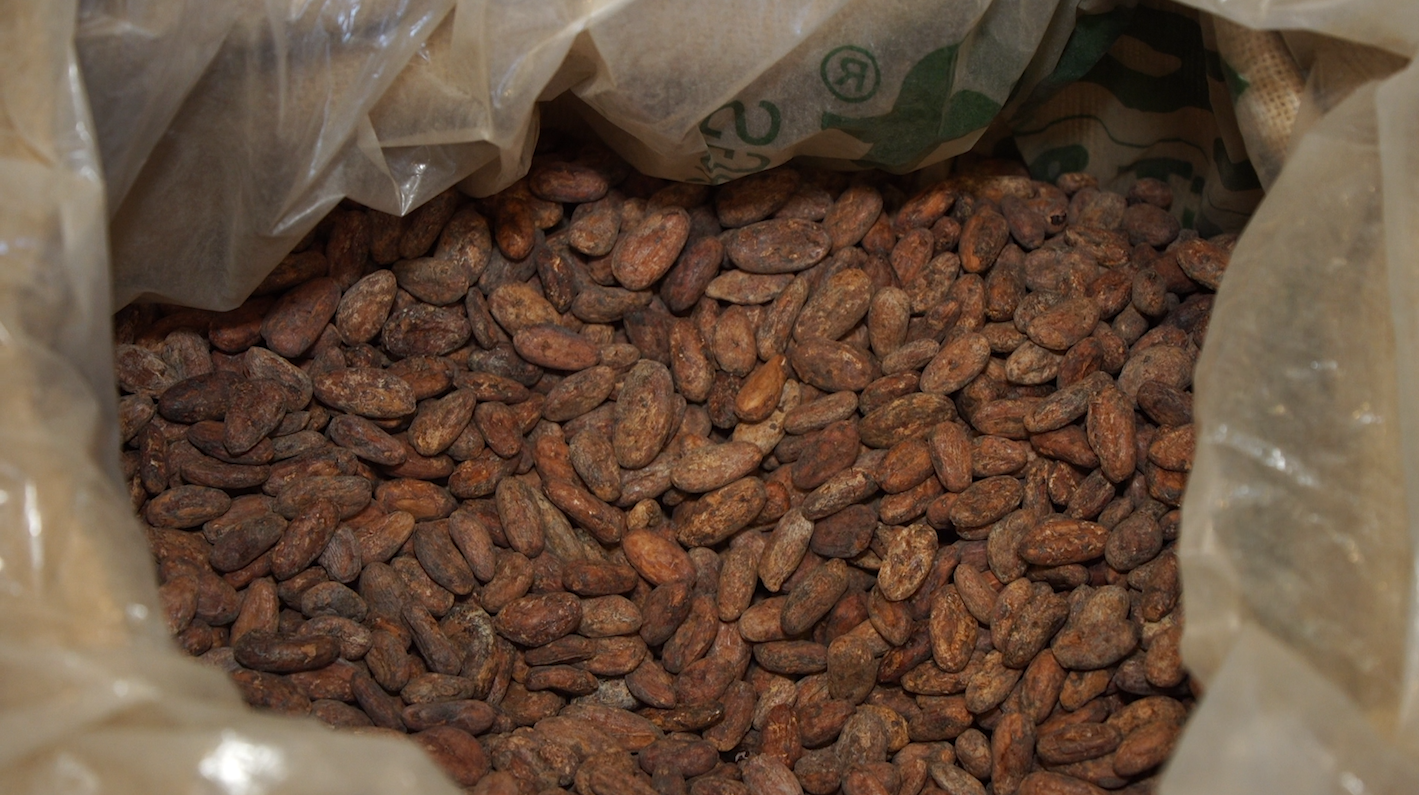 Ritual Chocolate's cacao beans are sourced from Madagascar, Mexico, Belize, Ecuador, and Peru. (Photo: KSL TV)