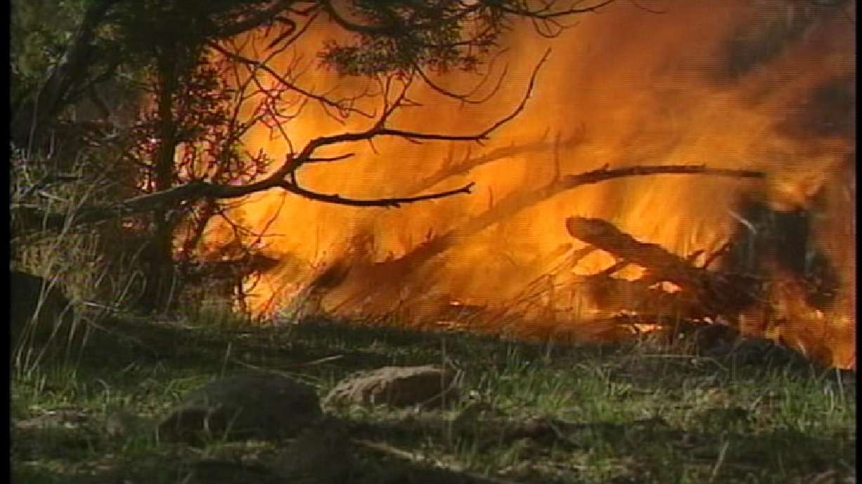 Utah Couple Wins National Wildfire Safety Award