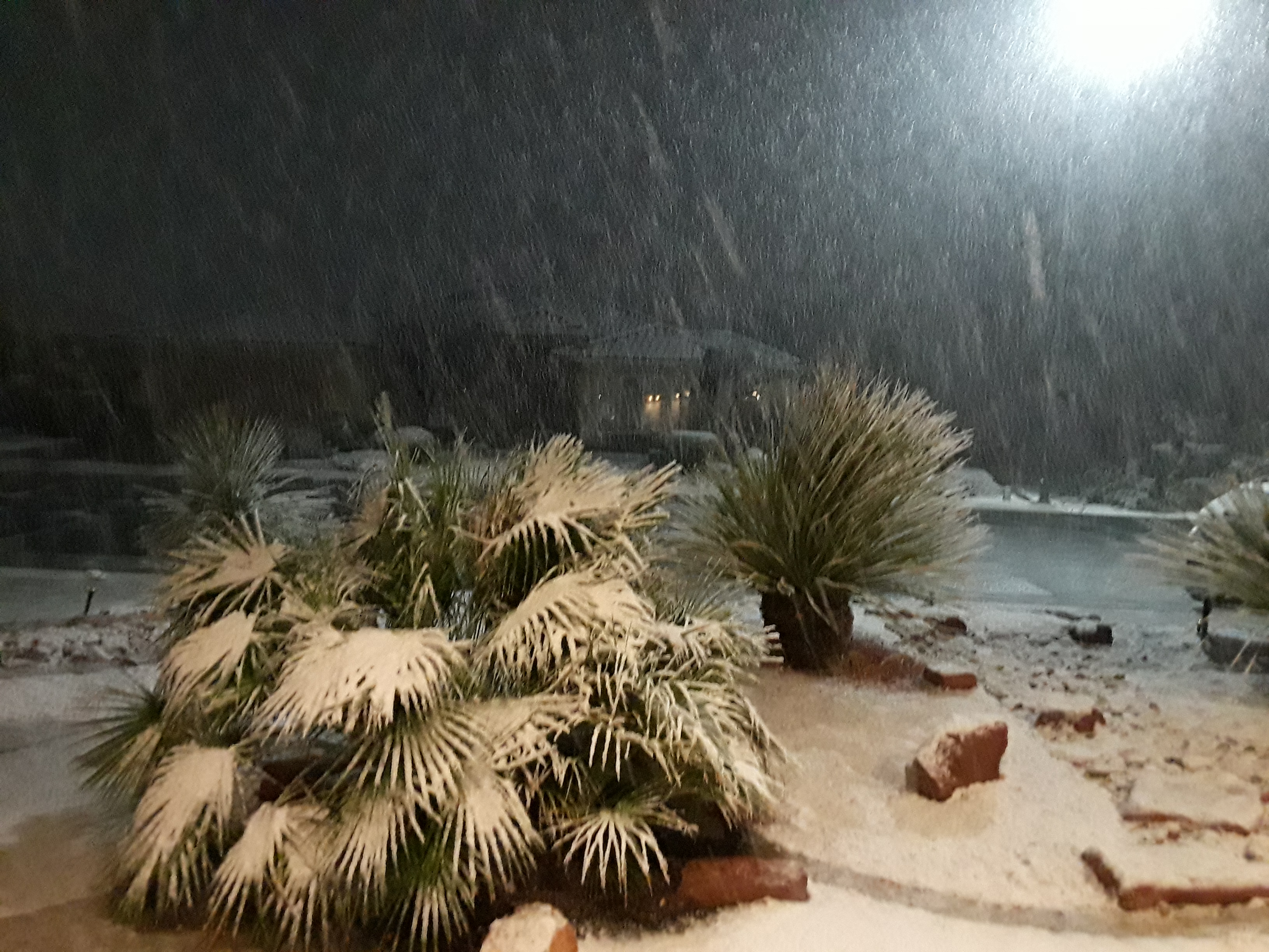 Snow in St. George on Monday, Feb. 18, 2019. (Photo: Susan DeHaan)