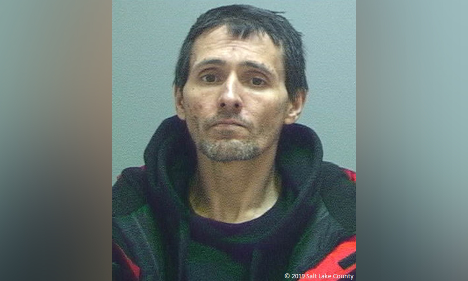 Man spotted abusing dog arrested for mail theft, police say