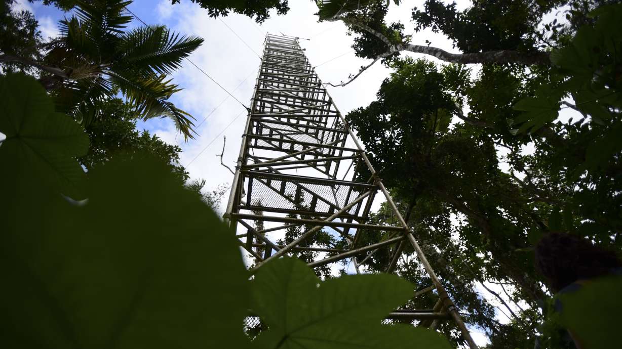 Hurricanes create natural climate change labs in Puerto Rico