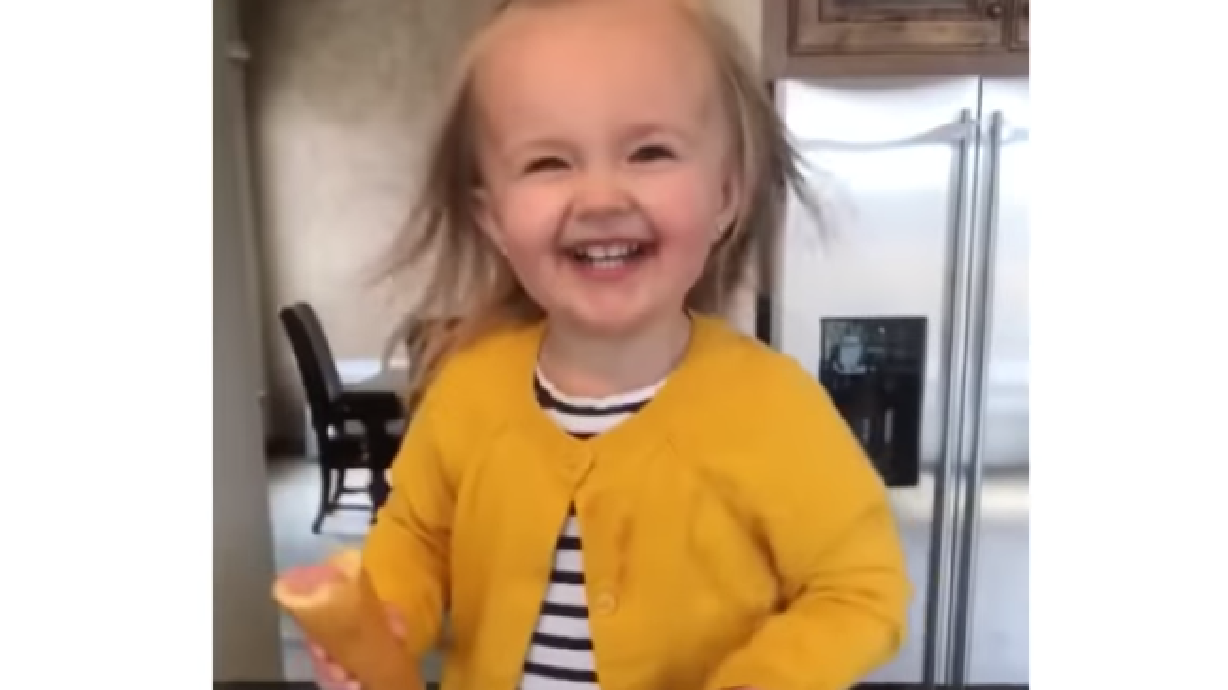 Have You Seen This? Best toddler dance on the internet