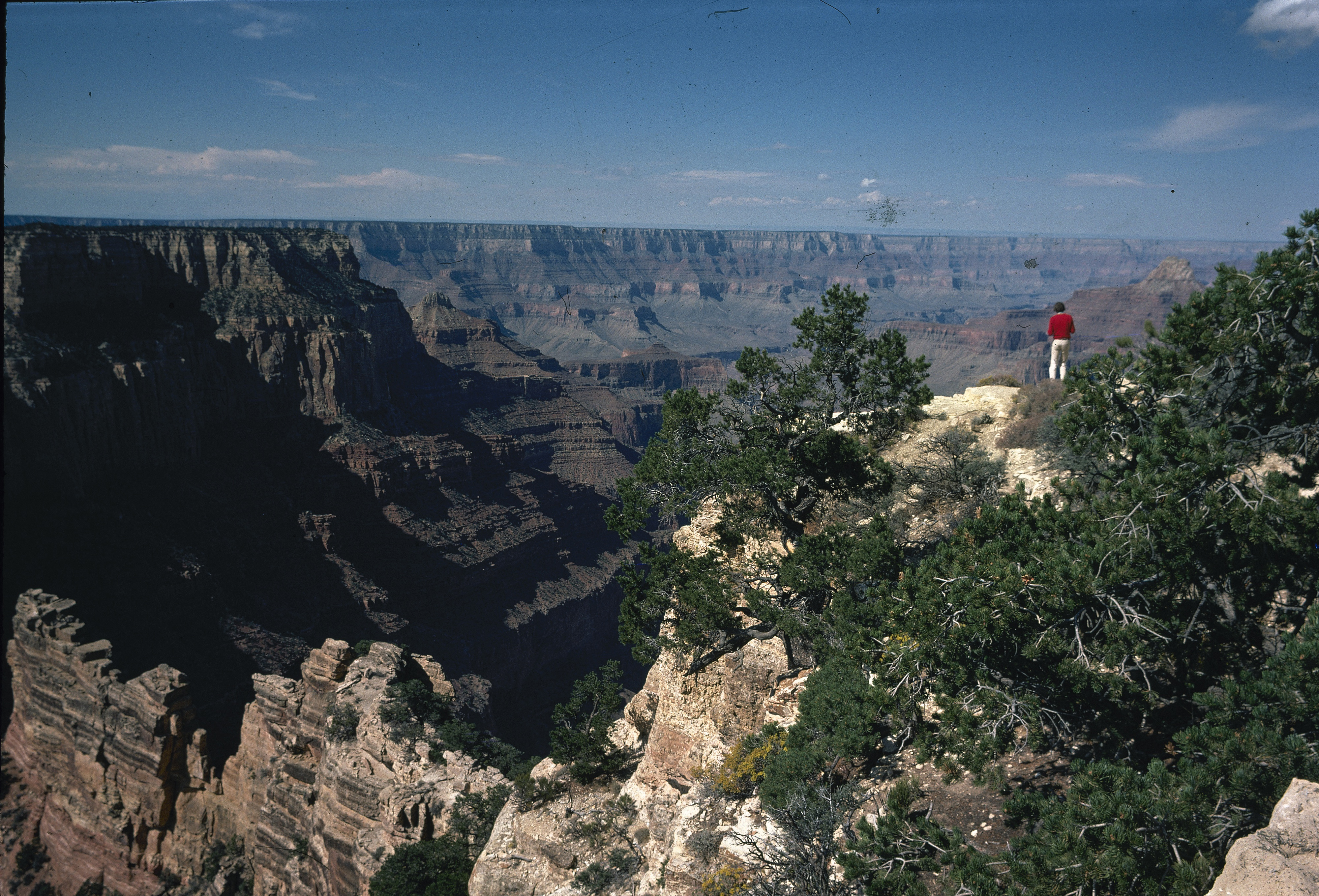 This is an aerial view of Grand Canyon National Park in Arizona, 1980. (AP Photo, File)