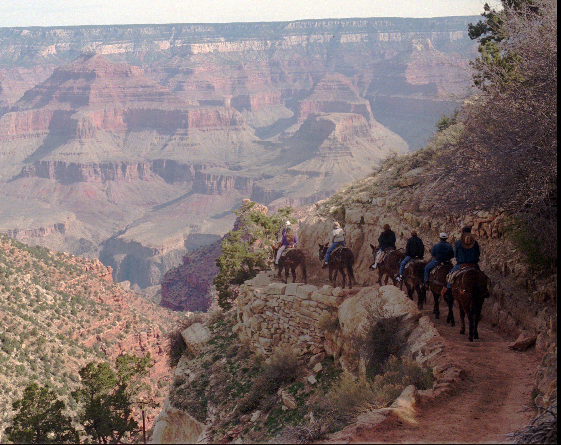 A mule train winds its way down the Bright Angel trail at Grand Canyon National Park, Ariz. Wednesday, March 27, 1996. (Jeff Robbins, AP Photo, File)