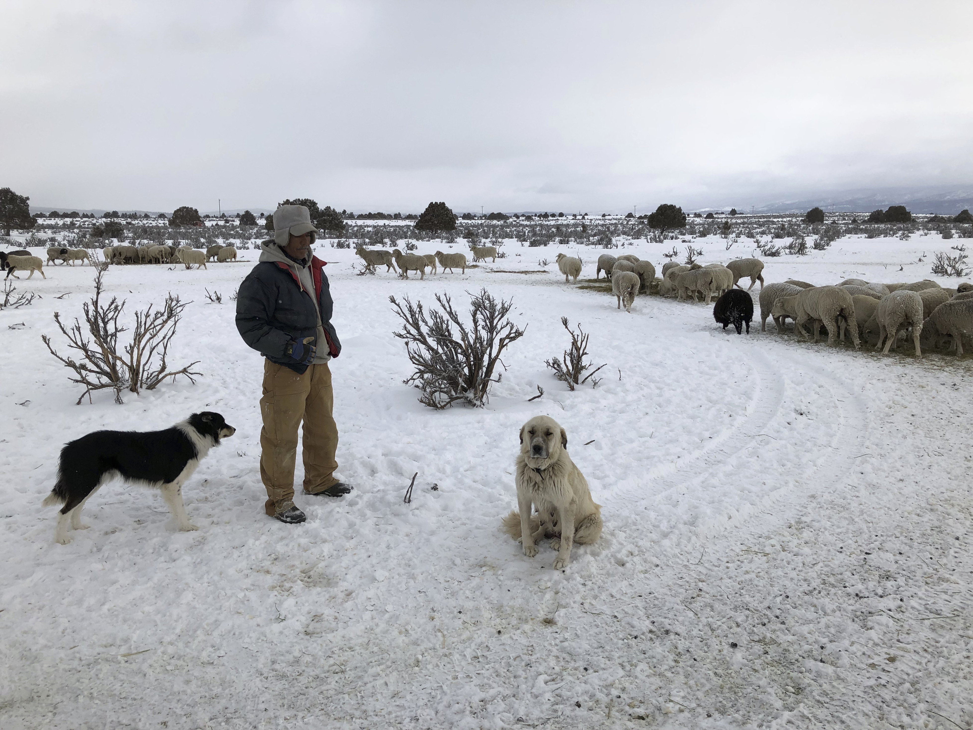 Trapping-ban bill signals shift in attitudes toward animals