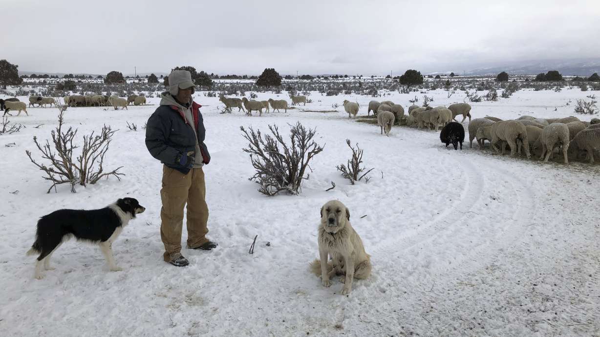 Trapping-ban bill signals shift in attitudes toward animals