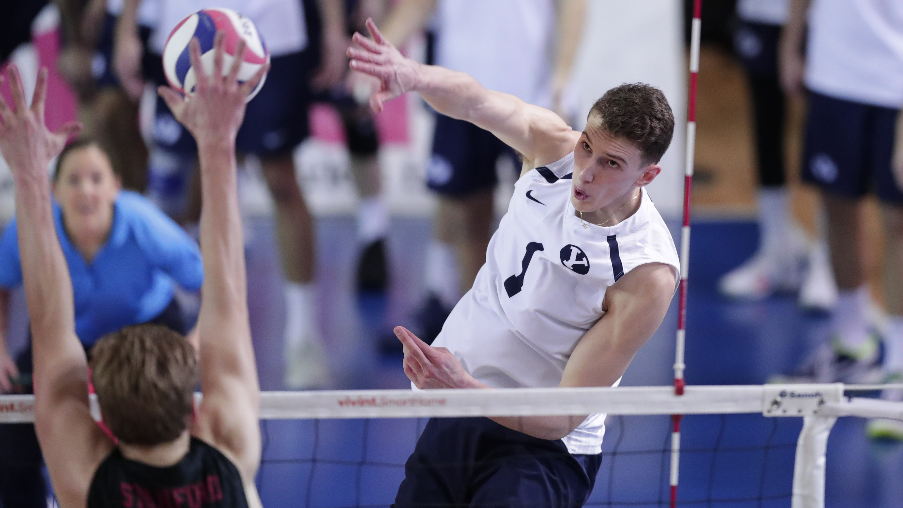 BYU men's volleyball's Davide Gardini against Stanford, Feb. 28, 2019 in the Smith Fieldhouse in Provo, Utah.