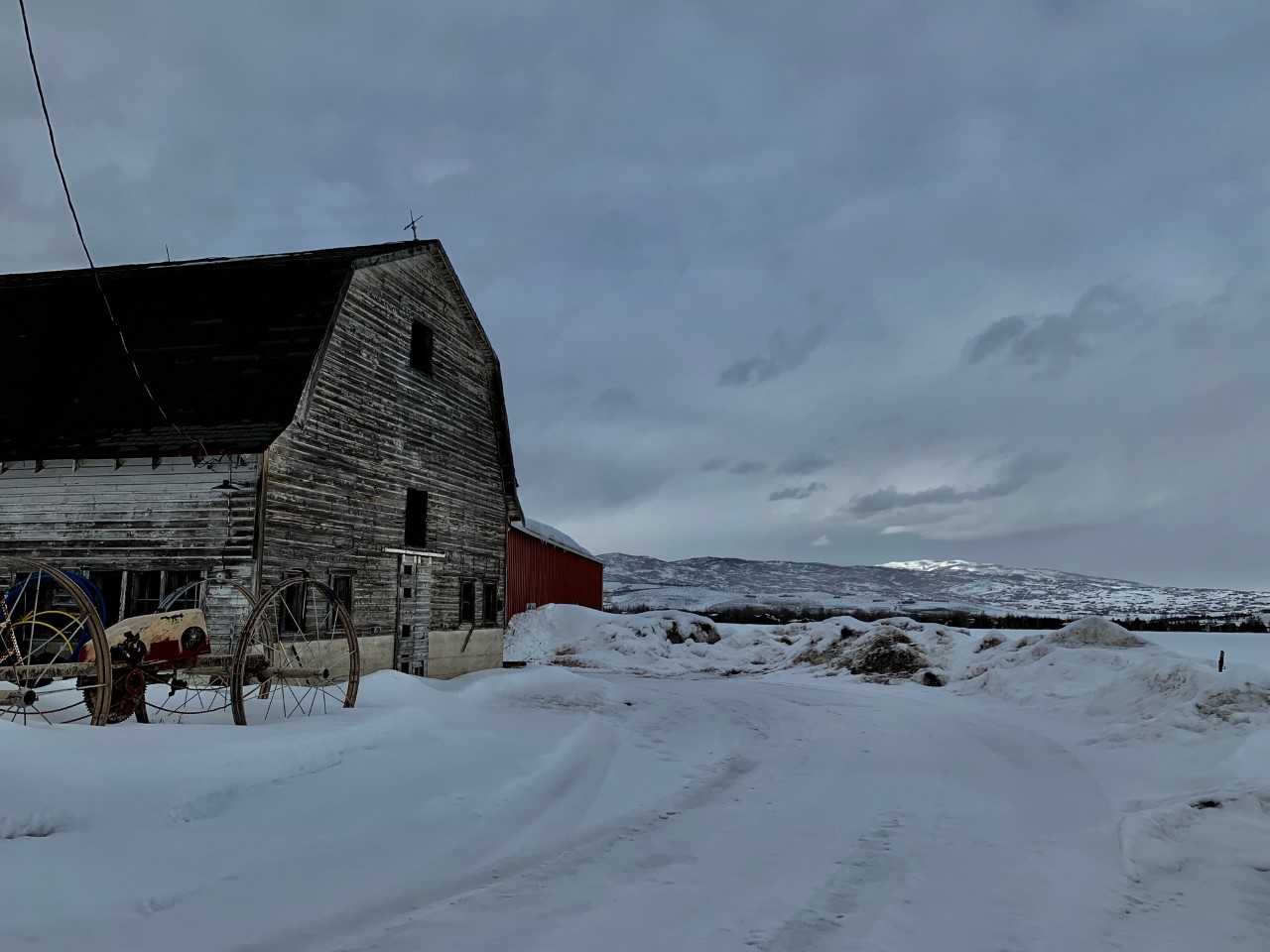 Tenneson Klein, 8, is trying to raise money to save Osguthorpe Farm off Old Ranch Road in Snyderville Basin from being turned into a housing development. (Photo: Ray Boone, KSL TV)