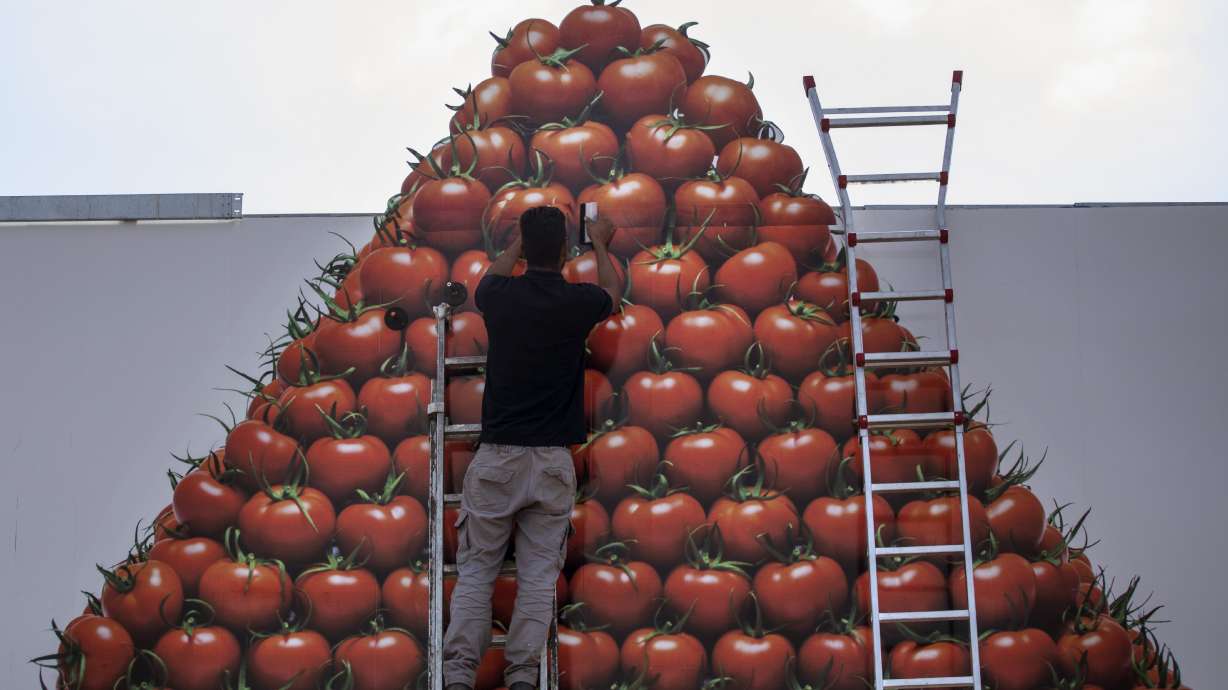 Produce growers in sunny south Spain brace for Brexit pain