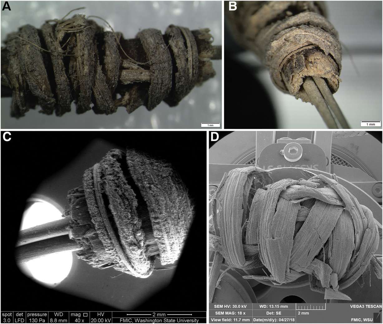 Images of of the tattoo artifact that was found in Utah in 1972. A new report by Washington State University archaeologists states the artifact is believed to have been used for tribal tattooing among an indigenous tribe. (Photo: Journal of Archaeological Science: Reports)