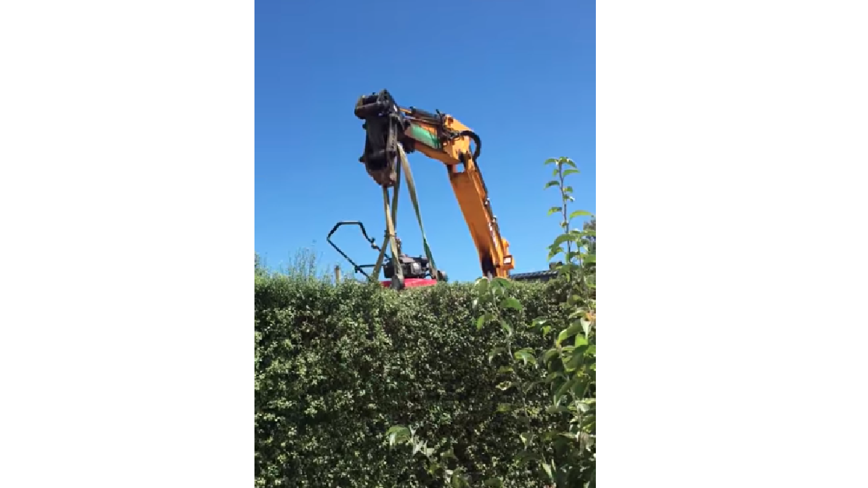 Have You Seen This? Best-worst way to trim a hedge