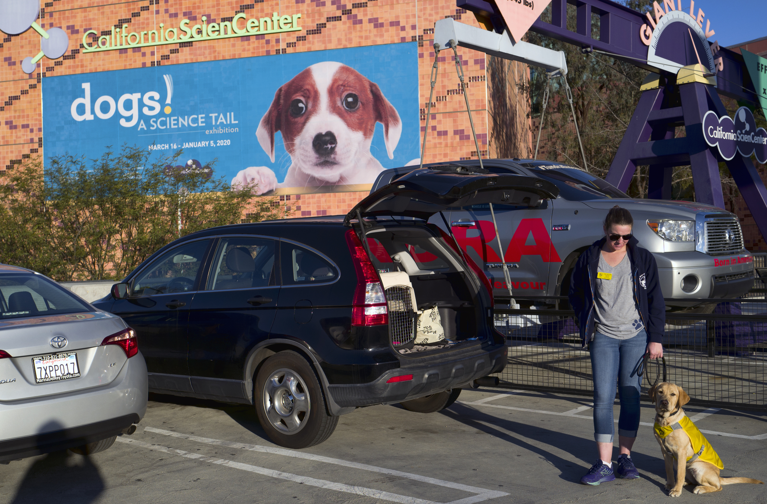 In this Tuesday, March 12, 2019 photo Puppy raiser for Guide Dogs of America Lexie Dreyfuss and her 6 month old Labrador Retriever Hathi prepare for a demonstration at the California Science Center in Los Angeles. (AP Photo/Richard Vogel)
