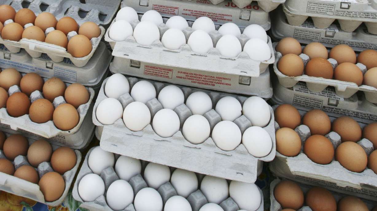 Are eggs good or bad for you? New research rekindles debate
