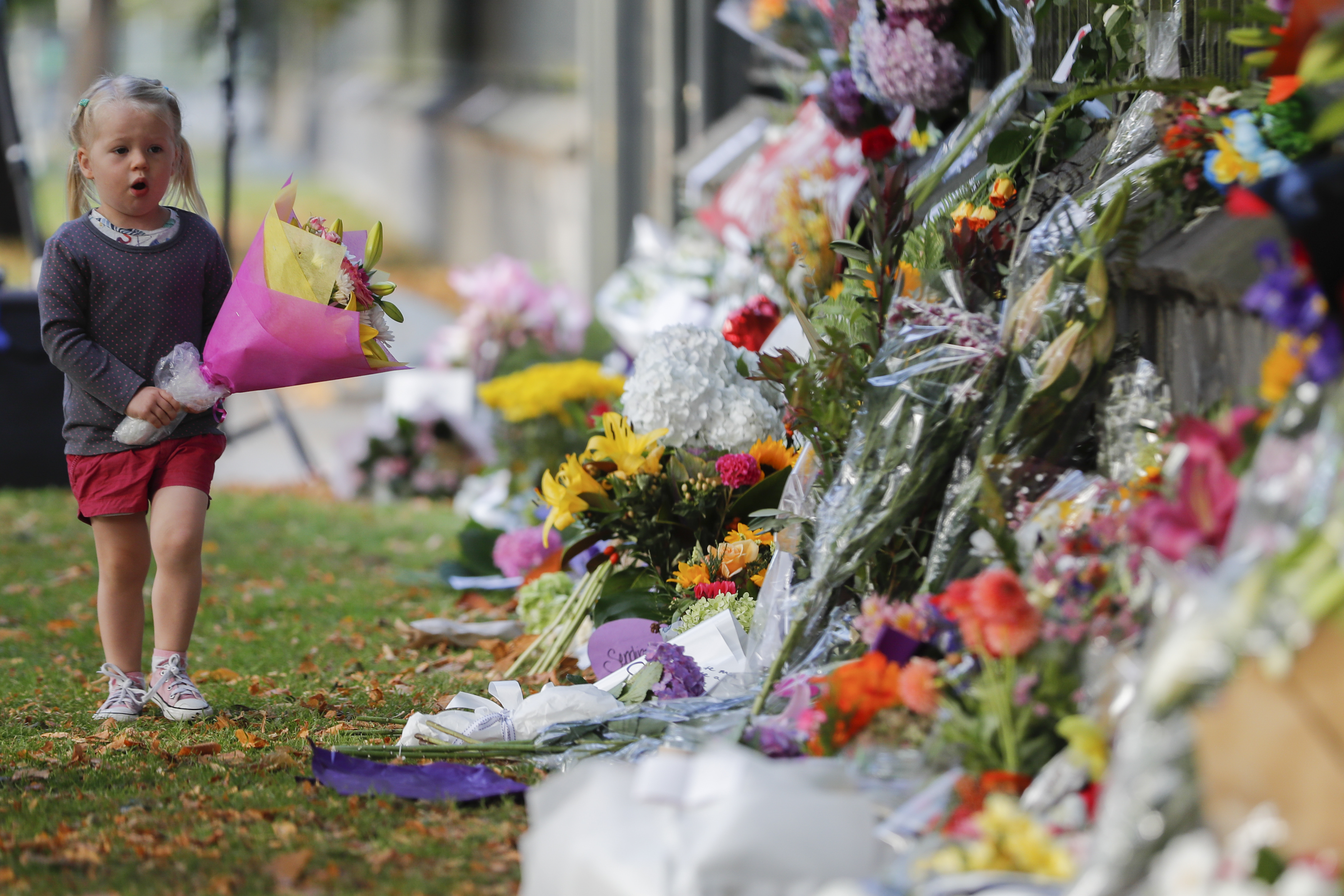A girl walk to lay flowers on a wall at the Botanical Gardens in Christchurch, New Zealand, Sunday, March 17, 2019. New Zealand's stricken residents reached out to Muslims in their neighborhoods and around the country on Saturday, in a fierce determination to show kindness to a community in pain as a 28-year-old white supremacist stood silently before a judge, accused in mass shootings at two mosques that left dozens of people dead. (AP Photo/Vincent Thian)