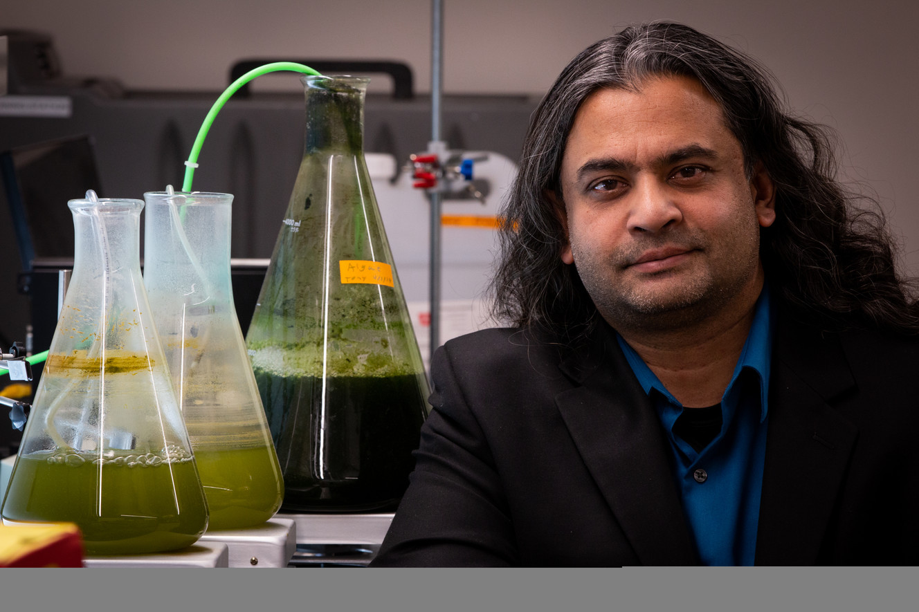 Utah engineers find more efficient way to convert algae into fuel