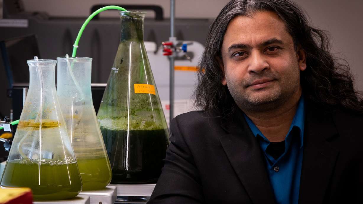 Utah engineers find more efficient way to convert algae into fuel