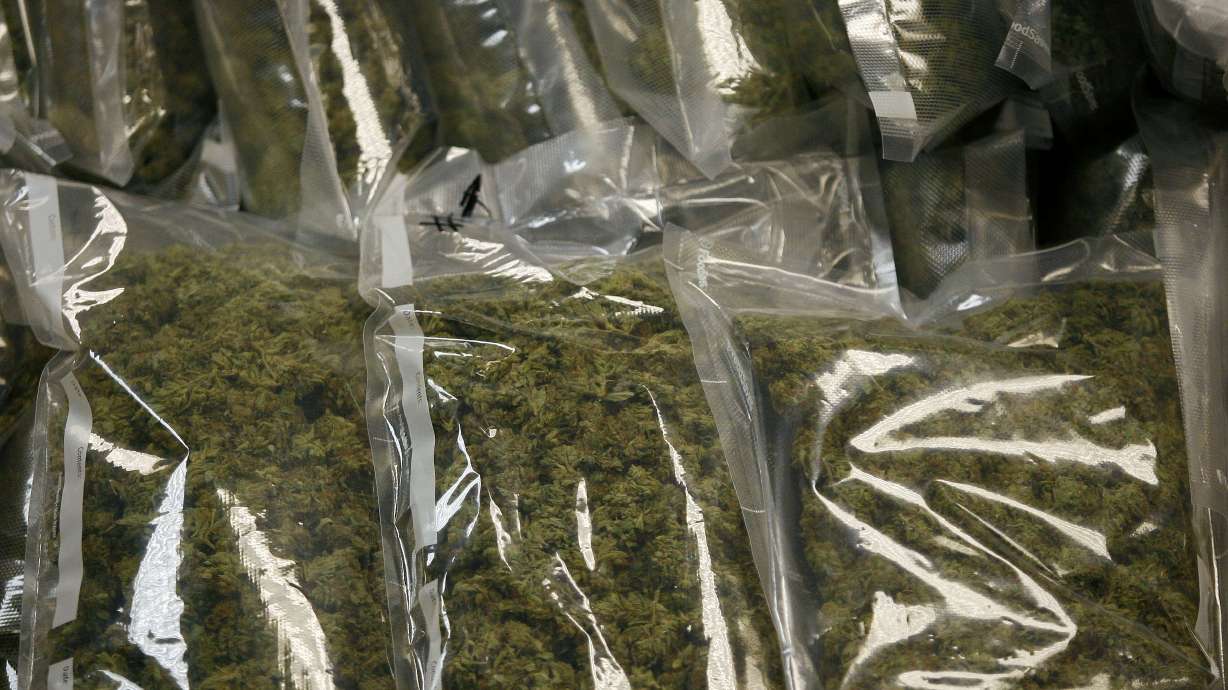 Traffic stop in Utah yields 250 pounds of marijuana