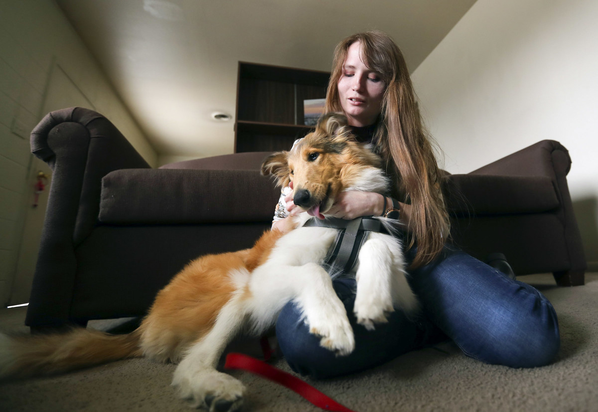 Is it too easy to get an emotional support animal prescription?