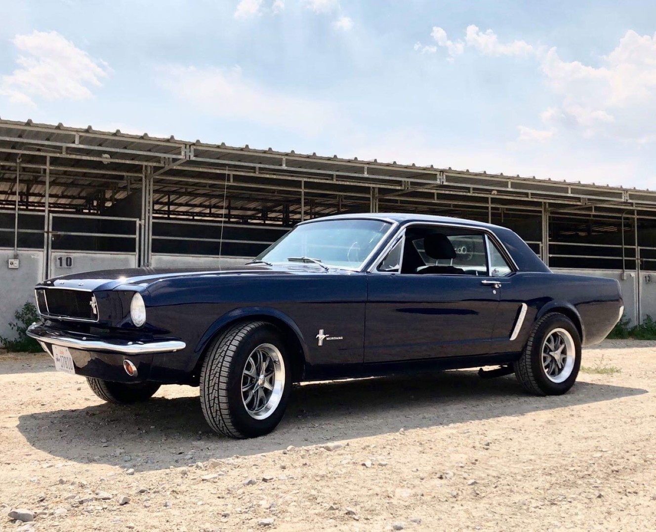 1965 Ford Mustang Coupe
(Photo: Parker Fidler)