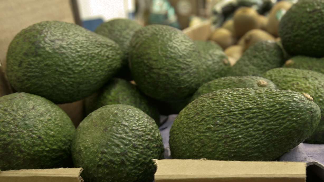 California grower recalls avocados over possible listeria