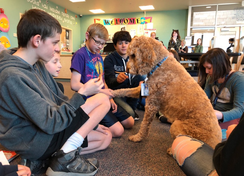 Students at South Ogden Jr. High School gather around Bentley in the library. (Photo: Alex Cabrero, KSL TV)