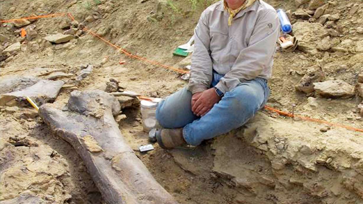Scientists to dig Jurassic site in Wyoming this summer