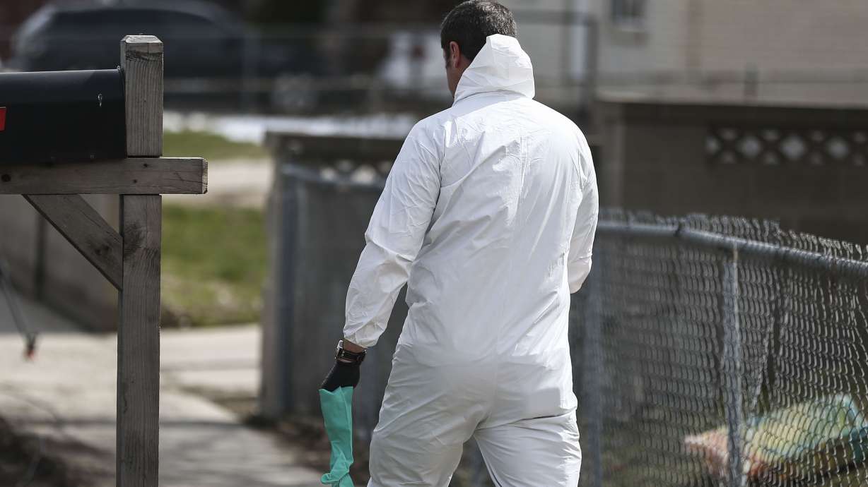 Police trying to trace gun used in accidental shooting