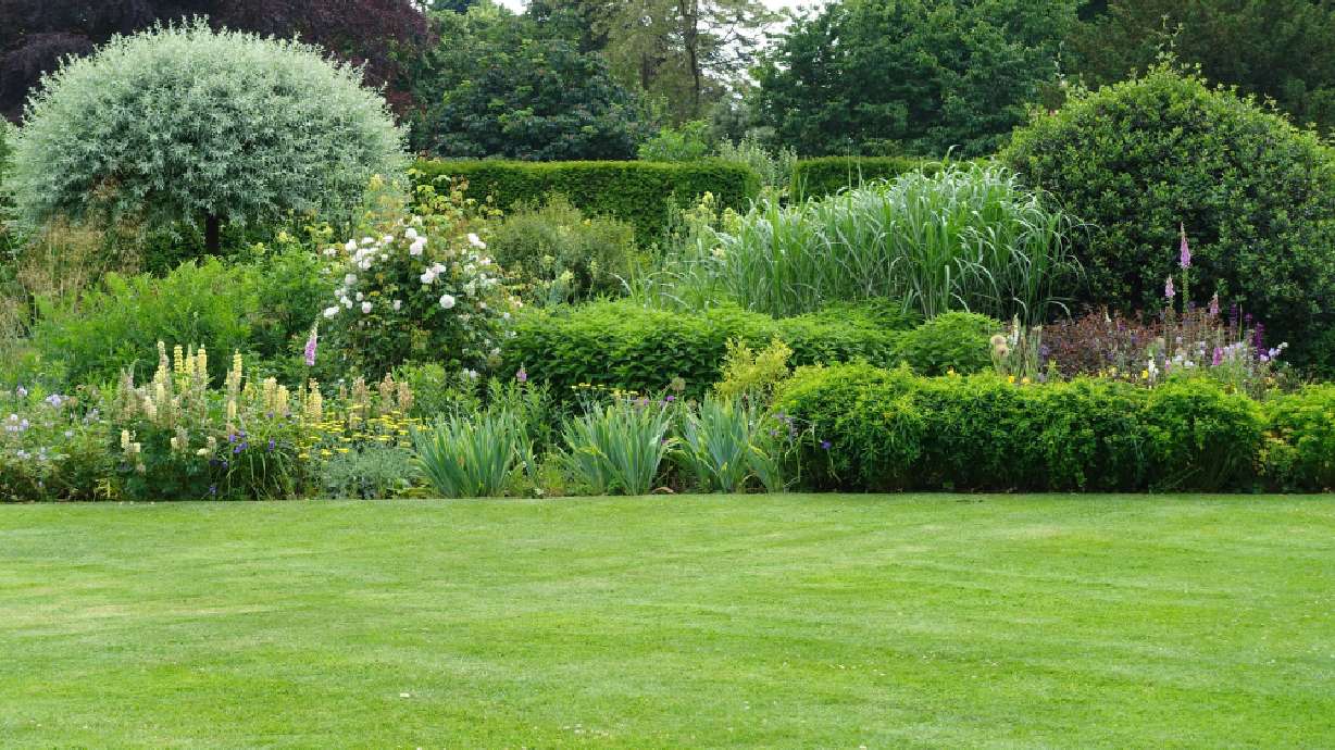 3 things you should do now for a green lawn in July and August