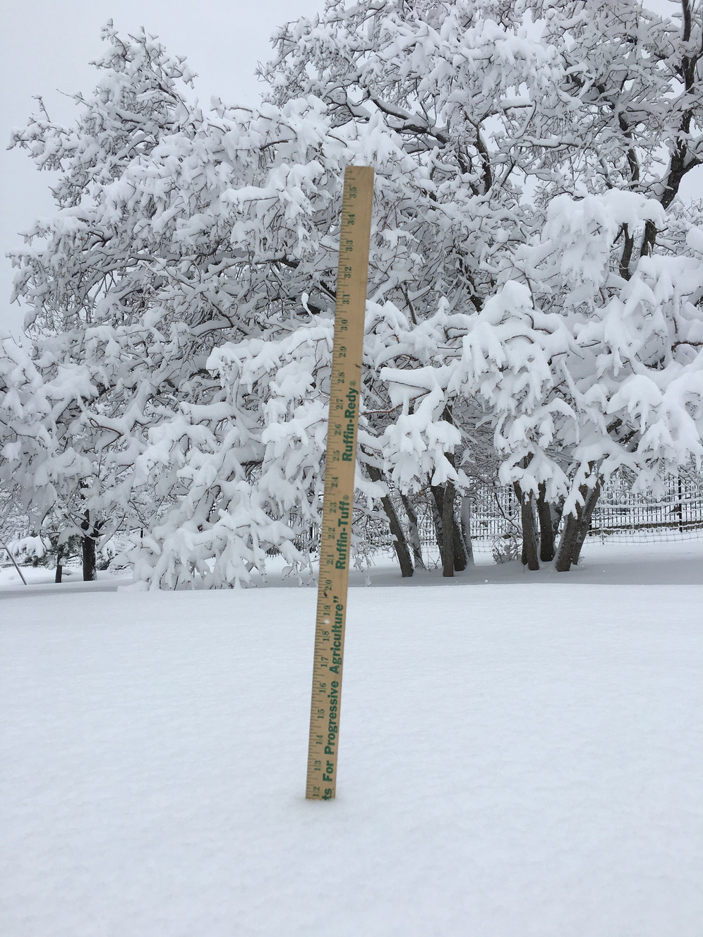Snow accumulation in Santaquin on Wednesday, March 13, 2019. (Photo: User submitted)