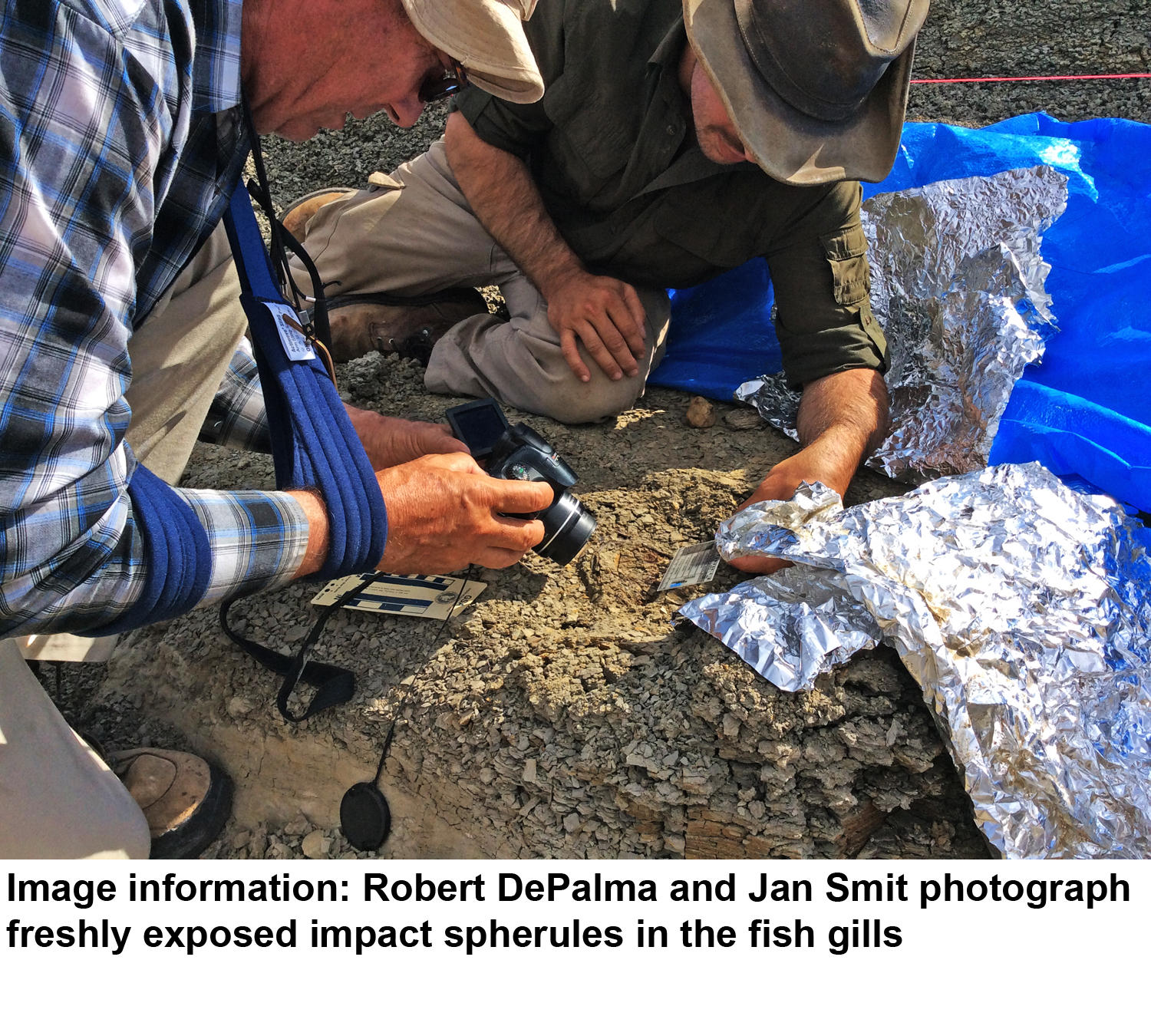 (Photo: Robert DePalma, University of Kansas)