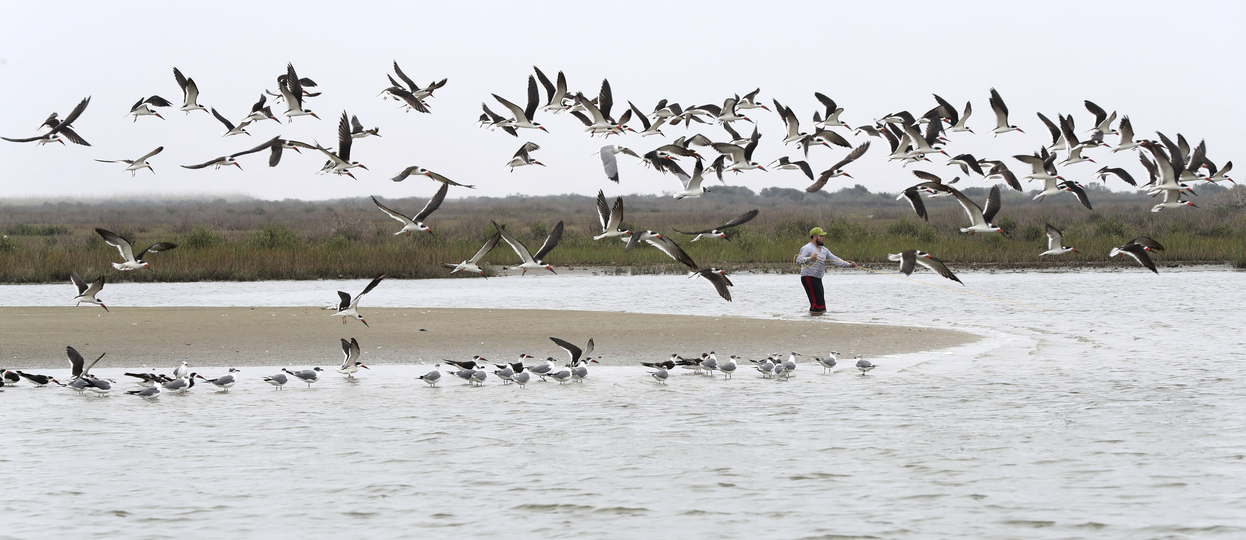 Galveston leaders earmark funds to develop East End Lagoon