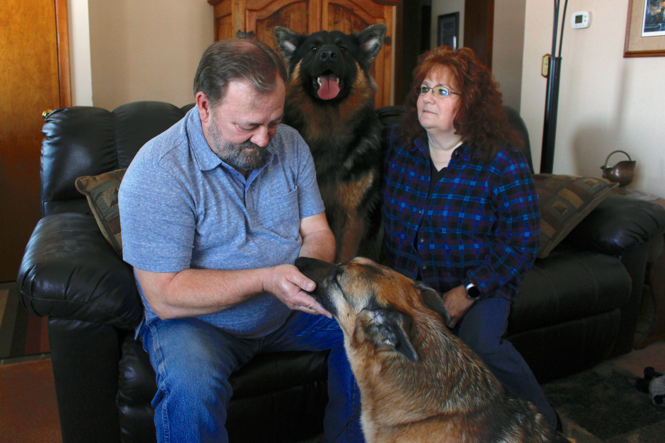 In this Feb. 21, 2019, photo, Joe and Deb Colgan sit with their German shepherds Gracie, on the floor, and Takaani, on the couch, in their home in Oconomowoc, Wis. Photo: Carrie Antlfinger, AP Photo