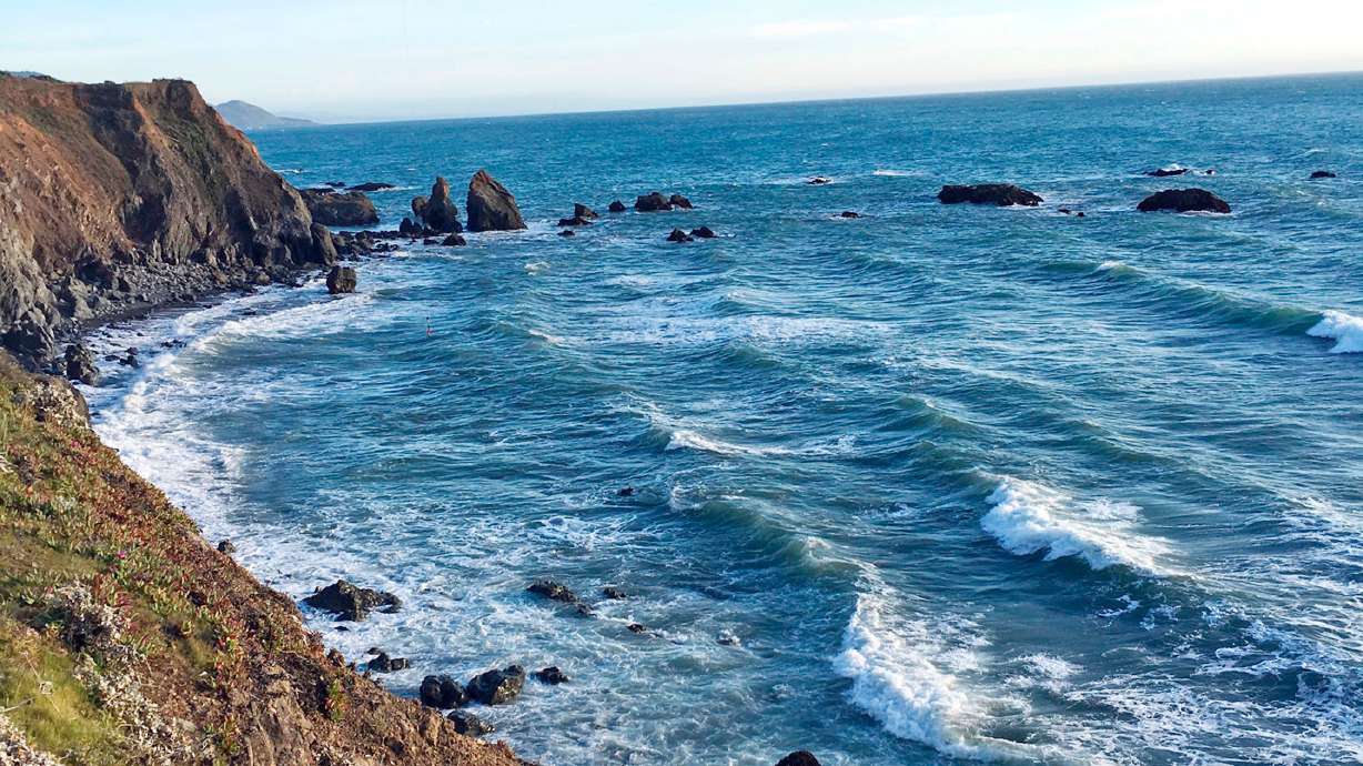 Details emerge on family whose SUV plunged off Calif. cliff