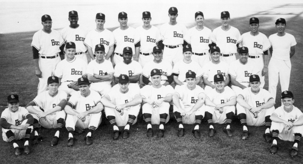 A photo of the 1958 Salt Lake Bees team, which was the Bees' return to the Pacific Coast League for the first time between then and 1925. (Photo: Utah State History)