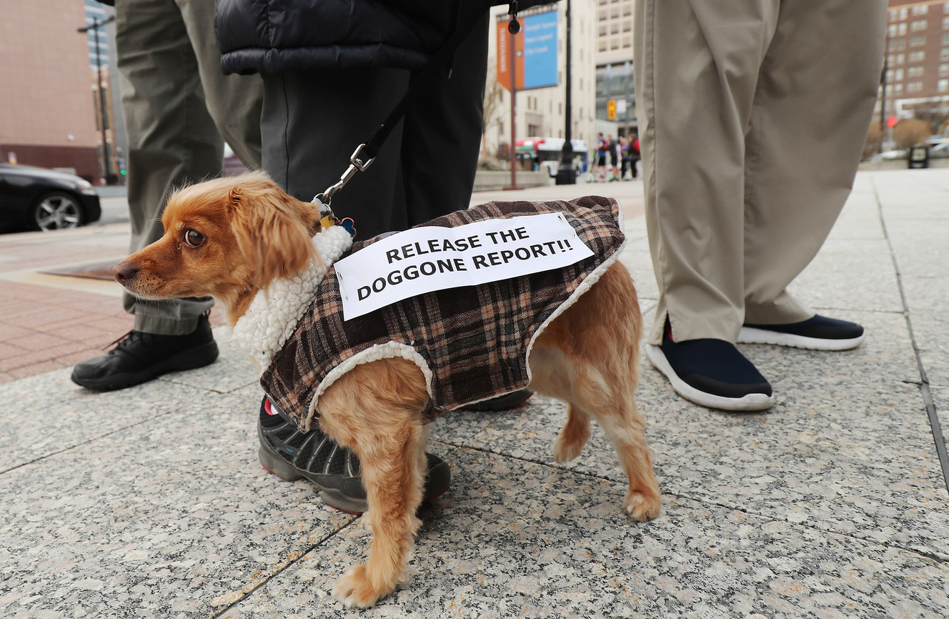 Hazel wears a sign at a protest in front of the Wallace F. Bennett Federal Building in Salt Lake City on Thursday, April 4, 2019. The protest was to call on Attorney General William Barr and elected officials to take decisive steps to make special counsel Robert Mueller's report public. (Photo: Jeffrey D. Allred, KSL)