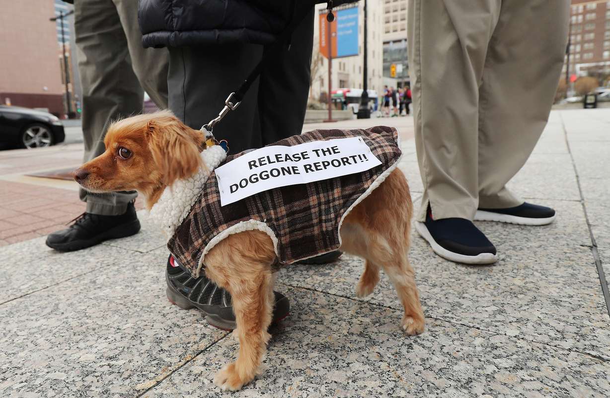 Hazel wears a sign at a protest in front of the Wallace F. Bennett Federal Building in Salt Lake City on Thursday, April 4, 2019. The protest was to call on Attorney General William Barr and elected officials to take decisive steps to make special counsel Robert Mueller's report public. (Photo: Jeffrey D. Allred, KSL)