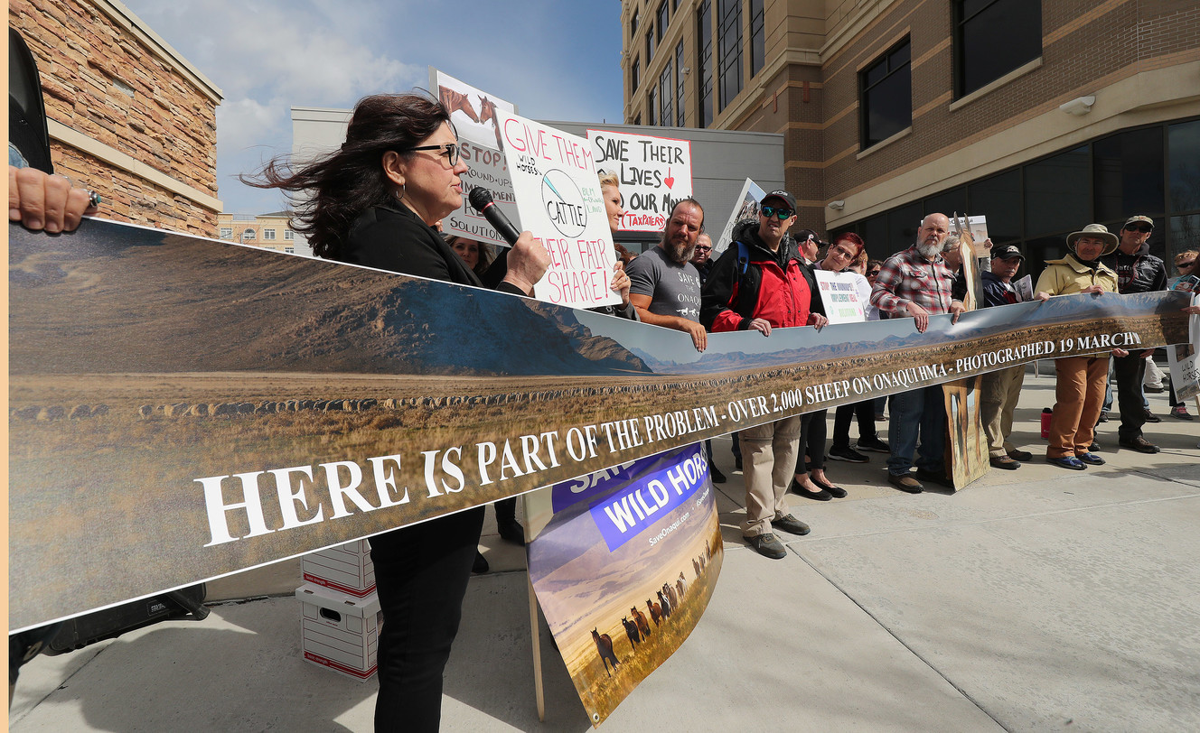 Horse advocates hold a large photo of sheep during rally in front of the Bureau of Land Management offices in Salt Lake City on Friday, April 5, 2019. The group protested the mass removal horses from the Onaqui Herd Management Area near Tooele. (Photo: Jeffrey D. Allred, KSL)
