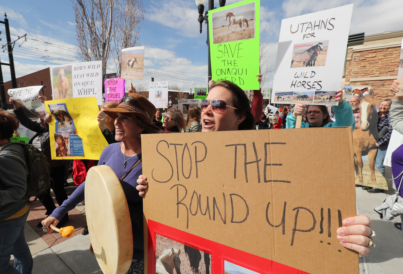 Amber Seely holds a sign as horse advocates rally in front of the Bureau of Land Management offices in Salt Lake City on Friday, April 5, 2019. The group protested the mass removal horses from the Onaqui Herd Management Area near Tooele. (Photo: Jeffrey D. Allred, KSL)