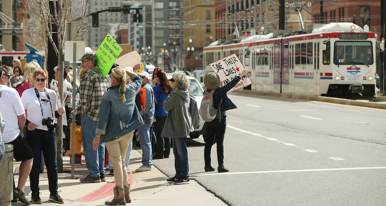 Horse advocates rally in front of the Bureau of Land Management offices in Salt Lake City on Friday, April 5, 2019. The group protested the mass removal horses from the Onaqui Herd Management Area near Tooele. (Photo: Jeffrey D. Allred, KSL)