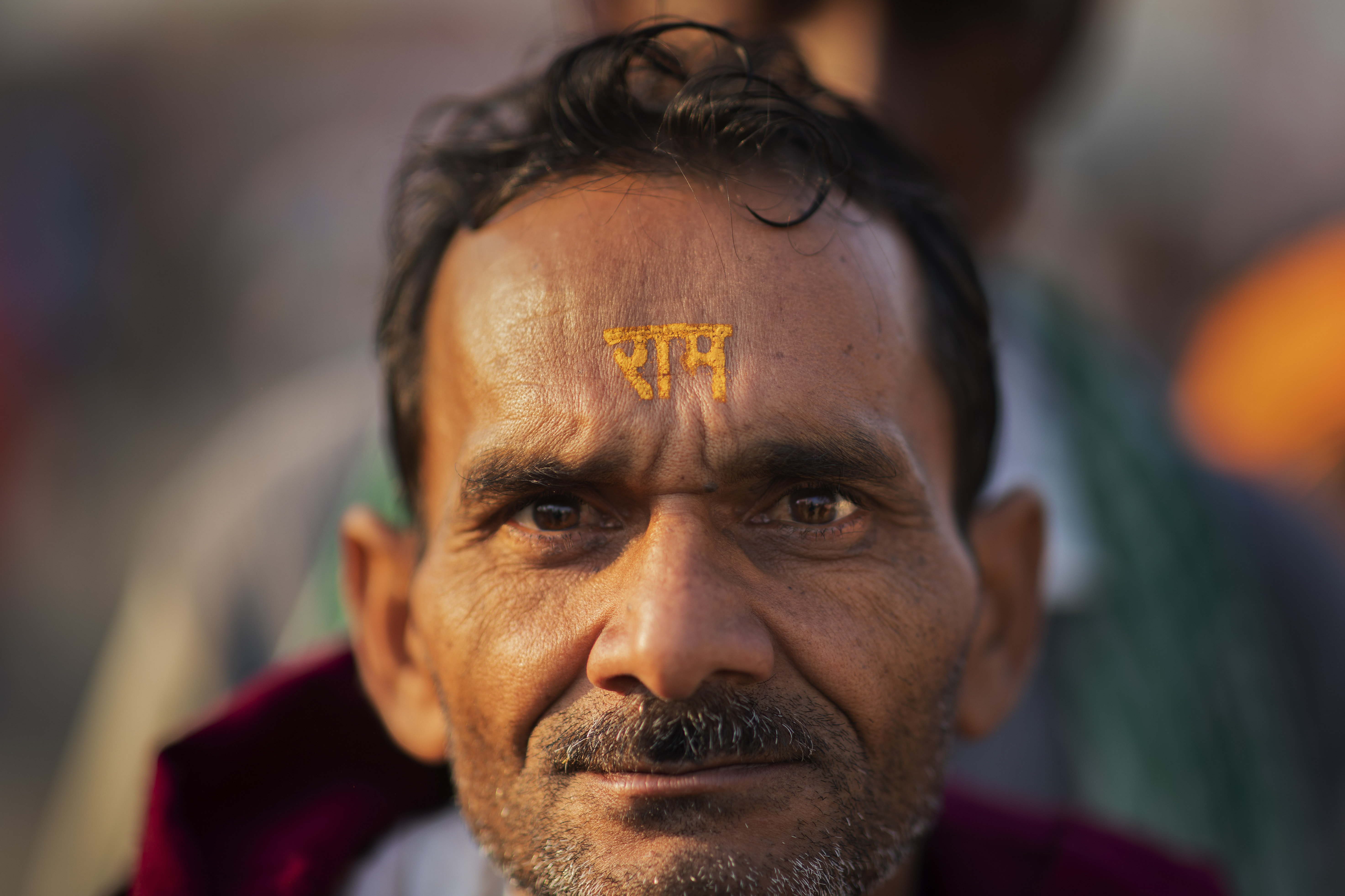 AP Photos: India's sacred cow a symbol of rising nationalism