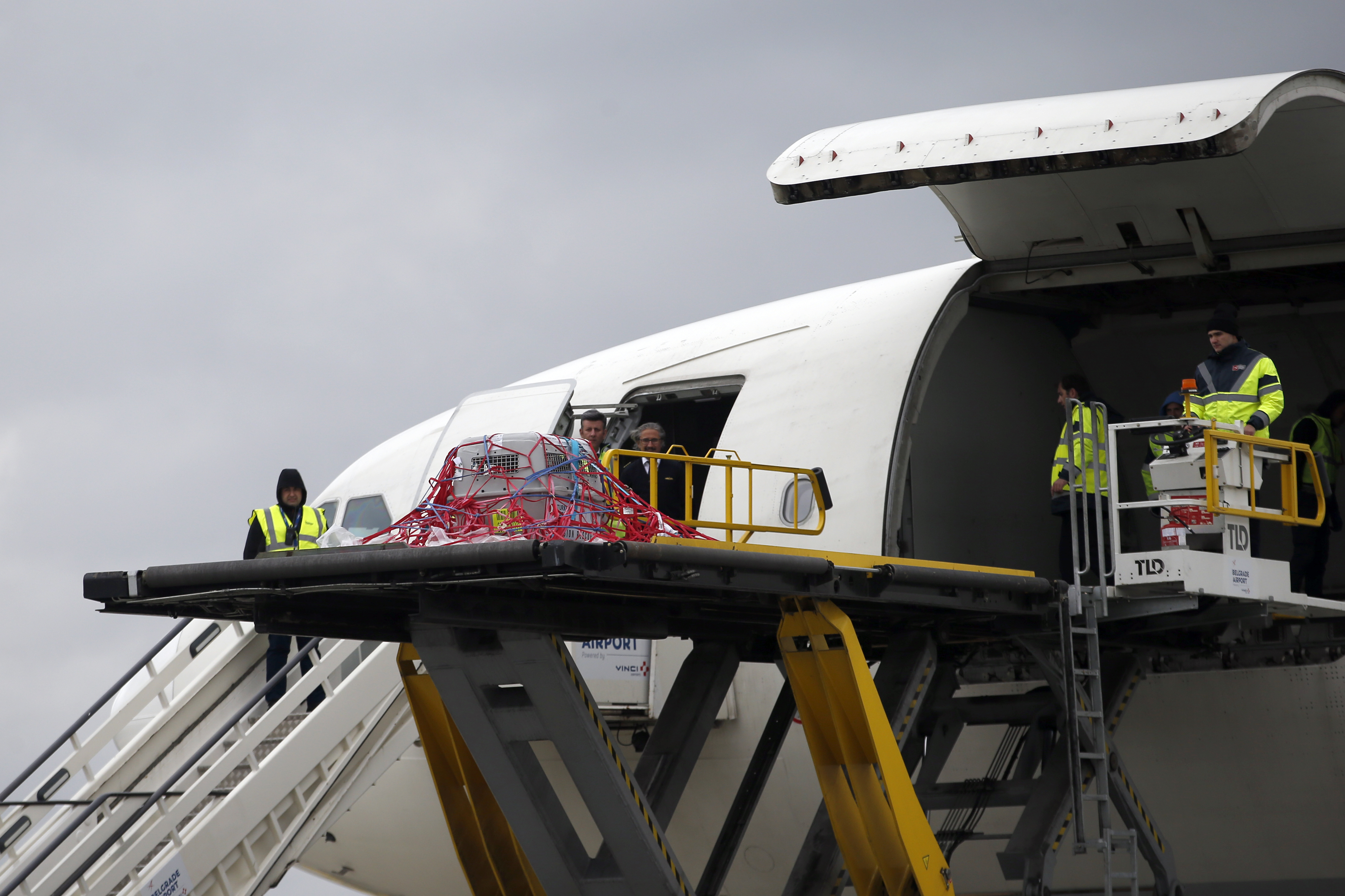 Serbia griffon vulture flown back home from Turkey