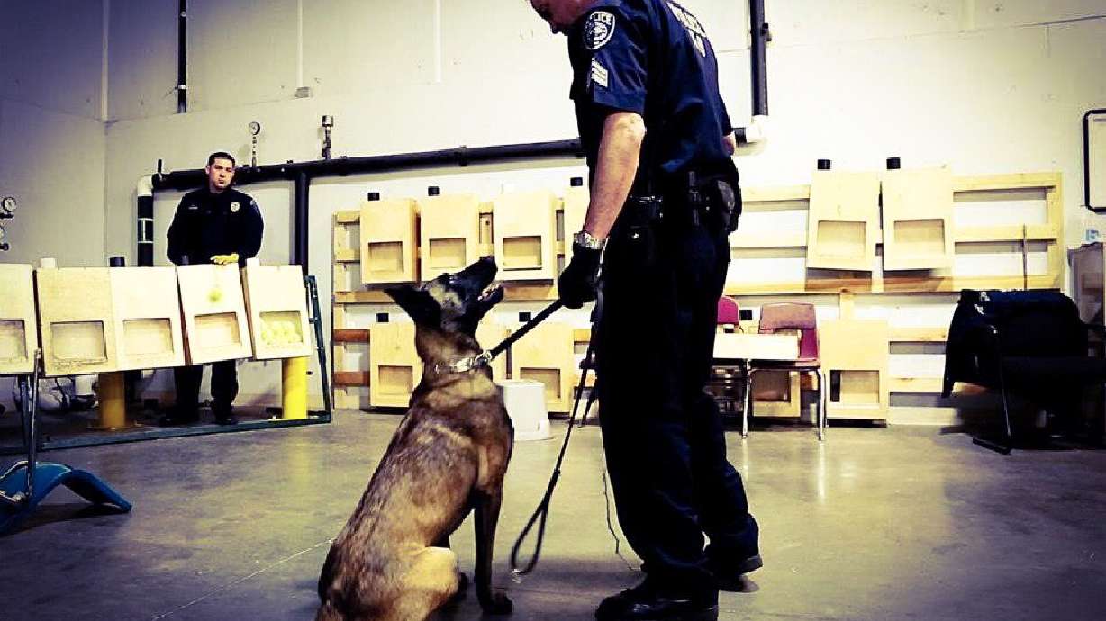 Handler recalls gunshots, yelping in trial for man accused of killing his police dog