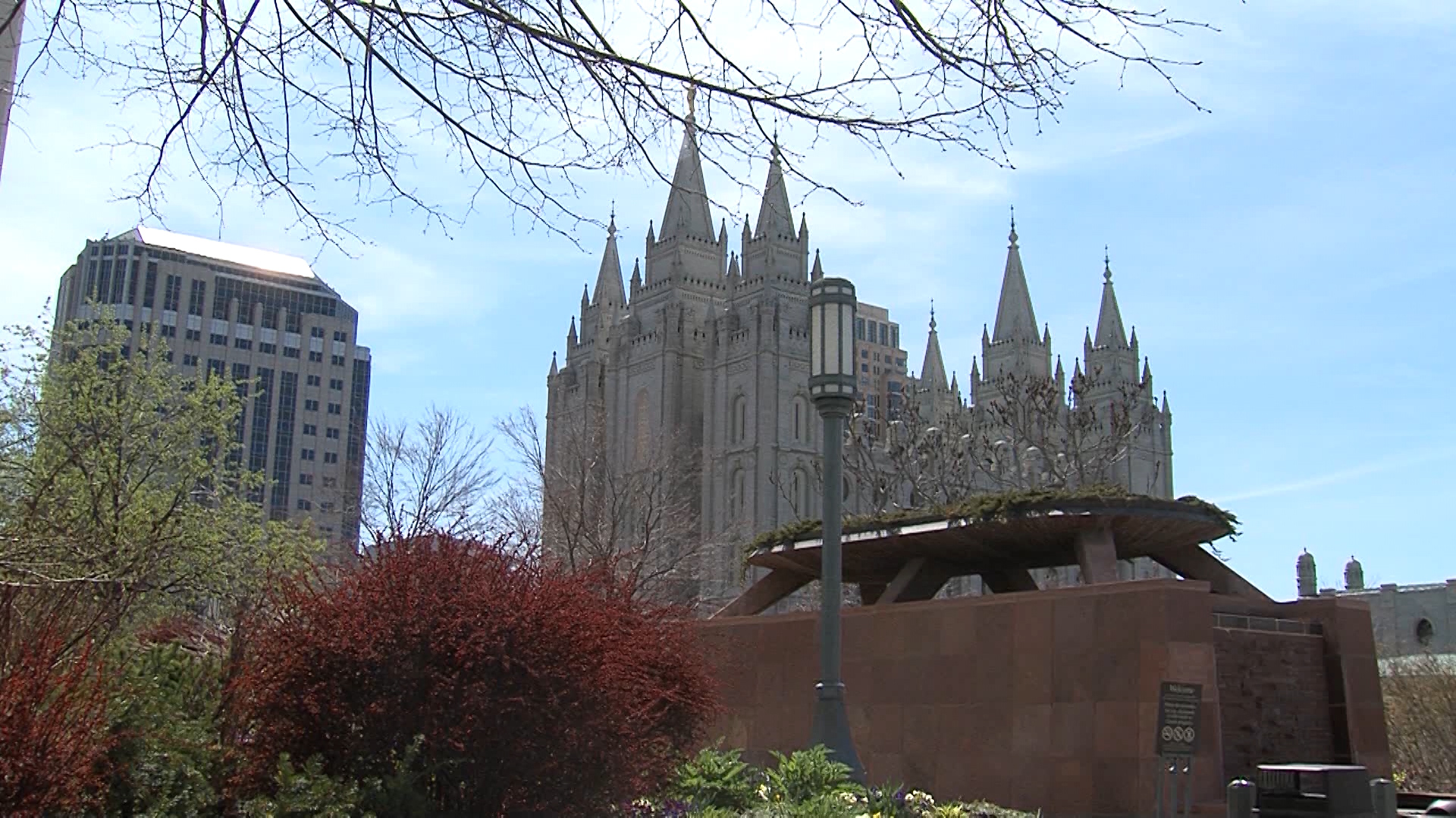 For the Strength of Youth 2020 conferences postponed until 2021