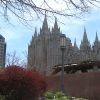 In handbook update, church adds policies on vaccinations, affinity fraud — among other changes