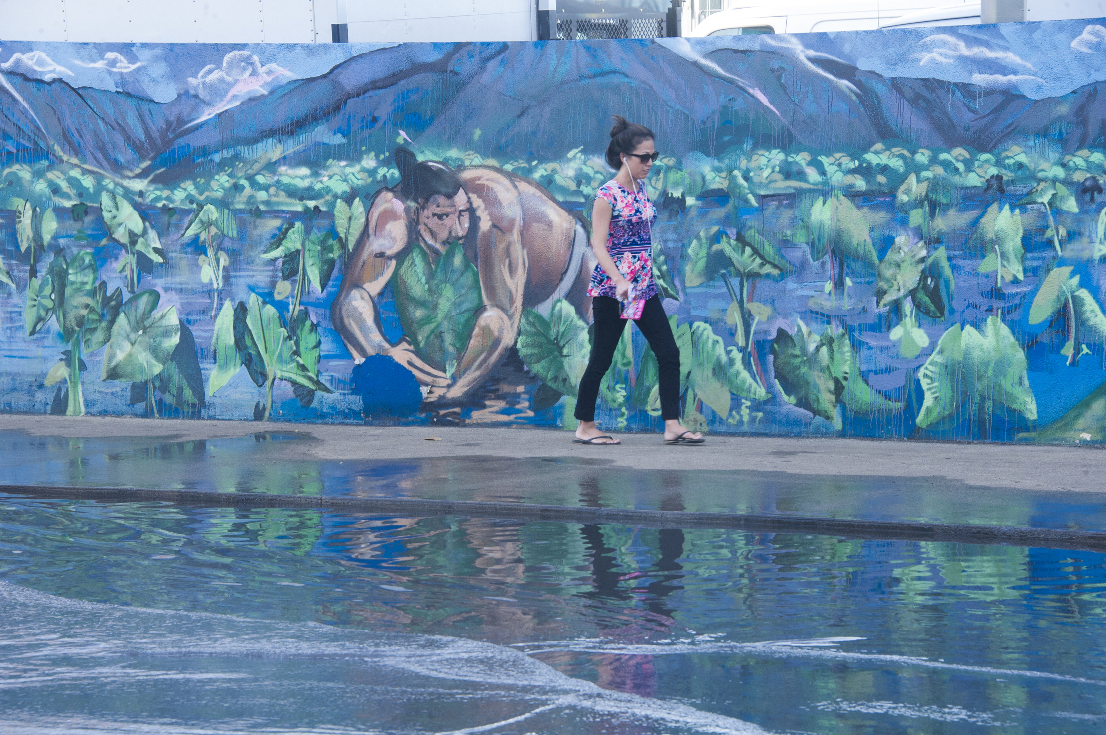 Waikiki flood concerns spur push for Hawaii shore protection