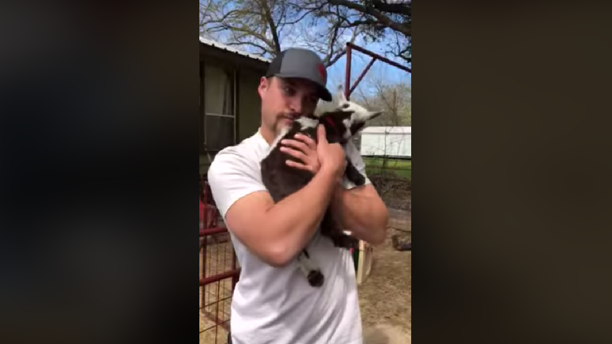 Have You Seen This? Spring hugs for all the goats