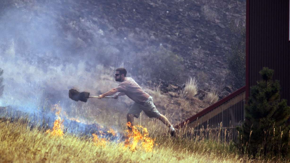 New strategy aims to save sagebrush in Western states