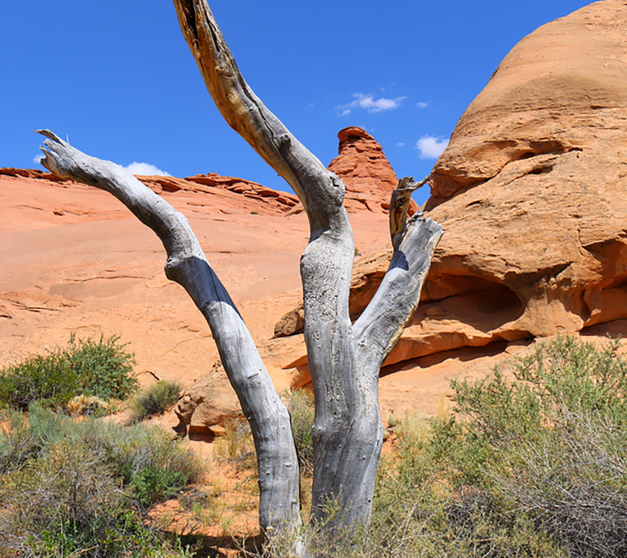Woman wedged in narrow Utah slot canyon rescued