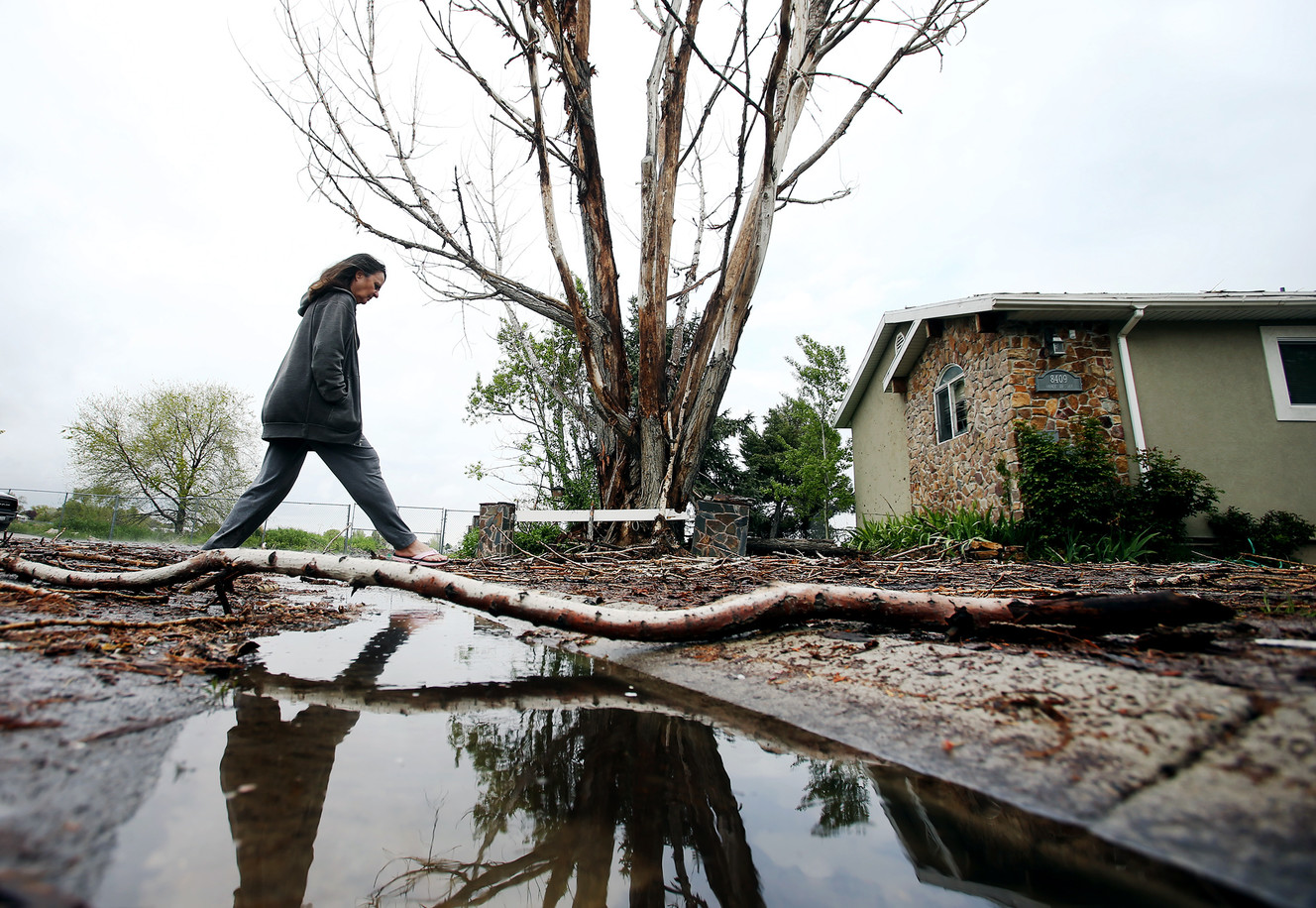 Dianne Roberg walks through the debris littering her front yard after lightning hit a dead tree in West Jordan on Tuesday, April 30, 2019. The strike damaged a fence and debris from the tree broke out a window in the home. (Photo: Scott G Winterton, KSL)