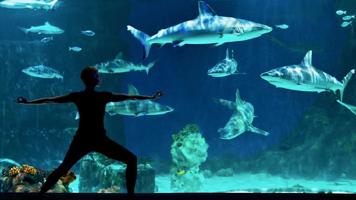 5 of the most unique places to practice yoga in Utah